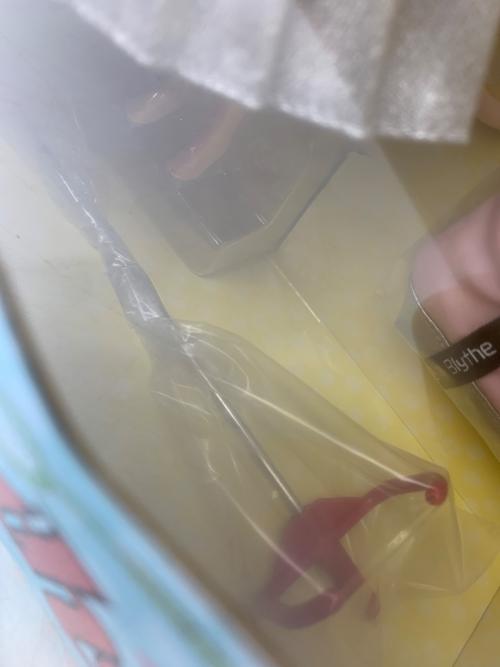 TAKARA TOMY (タカラトミー) ドール Blythe スポーティーラヴァーフィネス