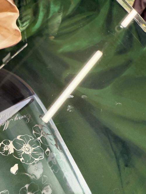 CAPCOM(カプコン) 囚われのパルマ 等身大ダイカットアクリルアート（上半身）ハルトと過ごす クリスマスメモリアルグッズ イーカプコン限定