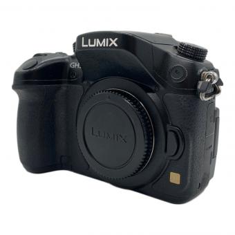 Panasonic (パナソニック) デジタル一眼レフカメラ LUMIX DMC-GH3 1720万画素 専用電池 SDXCカード対応 ISO200～12800 WF3GF001139
