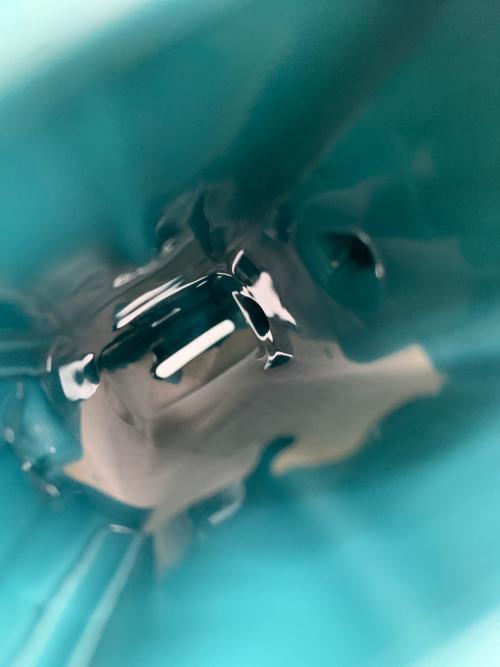 ガンビー貯金箱