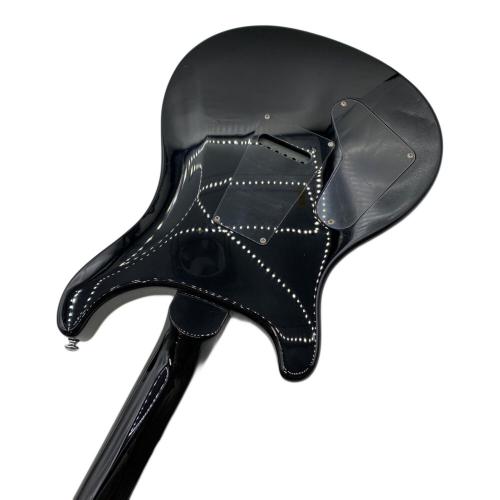 Paul Reed Smith (ポール リード スミス) エレアコギター SE Custom 24 2015年製