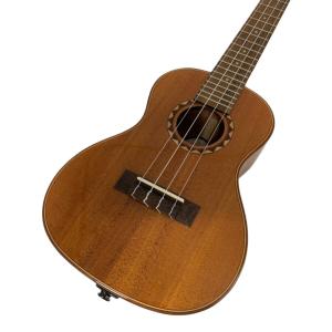 DREAM COMES TRUE ウクレレ DUC-600ME