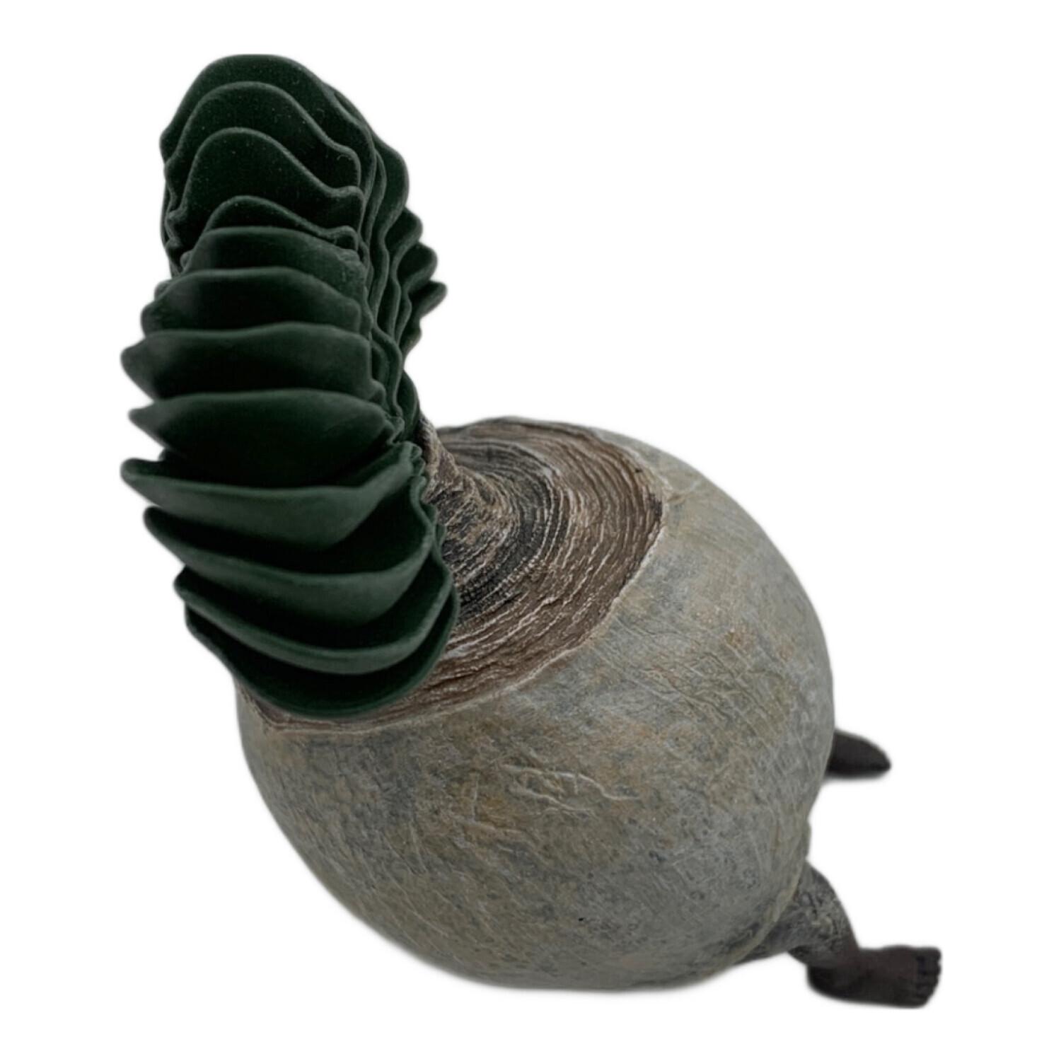 OZWRT TheCaudexMan pachypodiuman C サイズSS OZWRT TheCaudexMan pachypodiuman C SSサイズ Amazon.co.jp: OZWRT