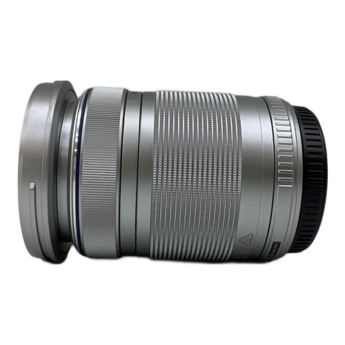 OLYMPUS (オリンパス) ミラーレス一眼カメラ E-PL8 EZダブルズームキット OLYMPUS PEN