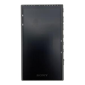 SONY (ソニー) WALKMAN NW-A306