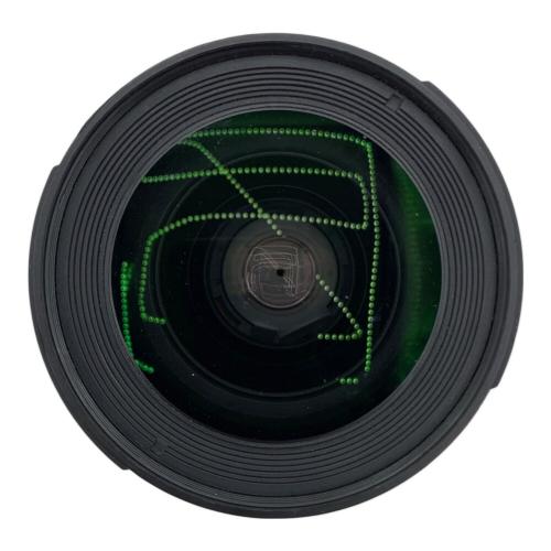 Nikon (ニコン) デジタル一眼レフカメラ D70