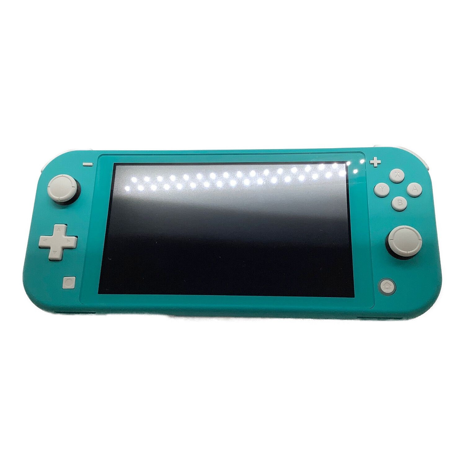 Nintendo Switch Light  (純正充電器付き)動作確認済み
