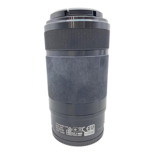 SONY (ソニー) ミラーレス一眼カメラ a6000 ILCE-6000 ケース付 ダブルレンズキット（望遠レンズカビ） 多少白化有