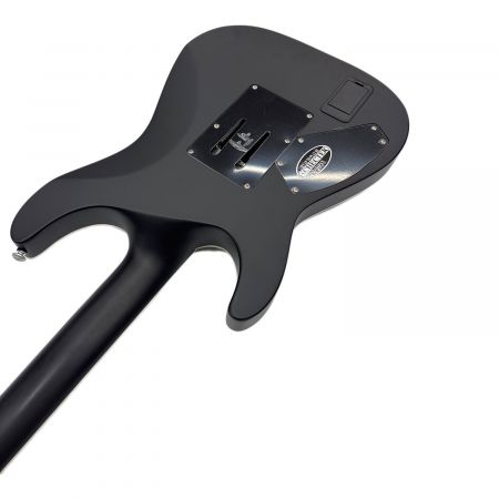 SCHECTER (シェクター) ギター DAMIEN PLATINUM-6 FR SBK DIAMOND