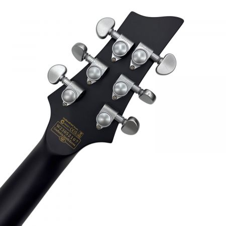 SCHECTER (シェクター) ギター DAMIEN PLATINUM-6 FR SBK DIAMOND