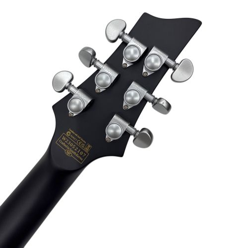 SCHECTER (シェクター) ギター DAMIEN PLATINUM-6 FR SBK DIAMOND SERIES W23052107