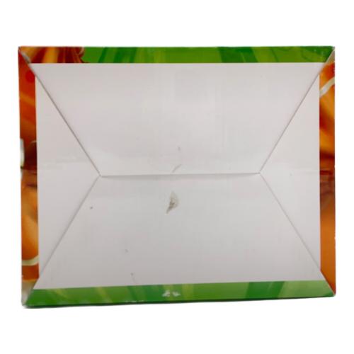 マクロス ランカ・リー フィギュア Megahouse 超時空シンデレラver