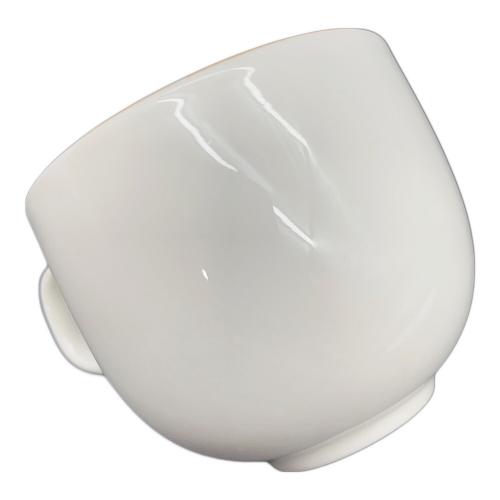 ROYAL COPENHAGEN (ロイヤル・コペンハーゲン) カップ&ソーサー FAJANCE