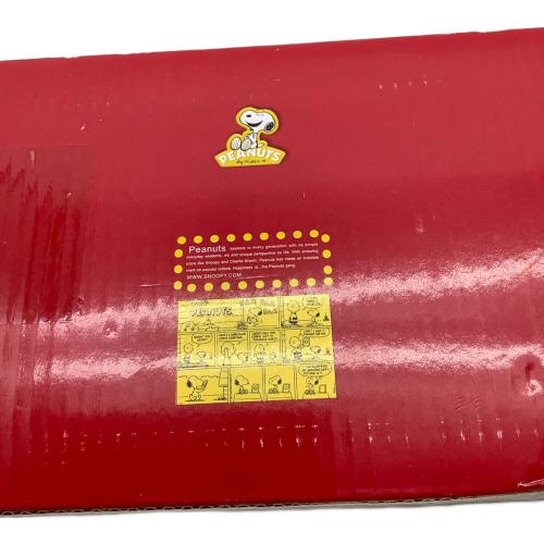 PEANUTS (ピーナッツ) CHARLIE BROWN THEN AND NOW 5P フィギュア