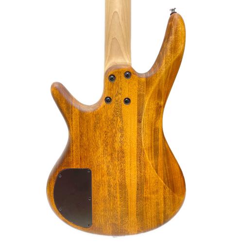 IBANEZ (アイバニーズ) エレキベース GSR100EX