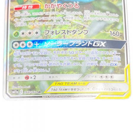 フシギバナ＆ツタージャGX TAG TEAM ポケモンカード 066/064 SR