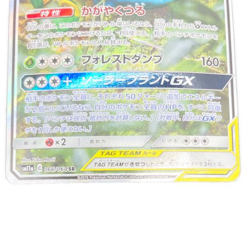 フシギバナ＆ツタージャGX TAG TEAM ポケモンカード 066/064 SR