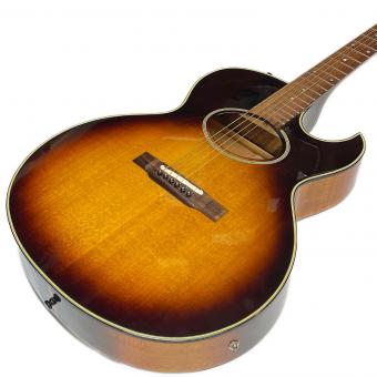 Washburn (ワッシュバーン) WOODSTOCK エレアコギター