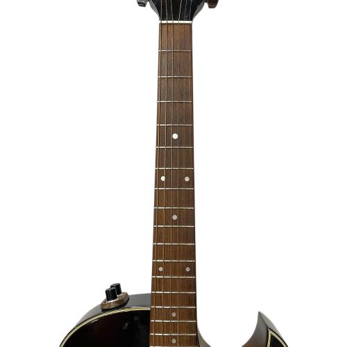 Washburn (ワッシュバーン) WOODSTOCK エレアコギター