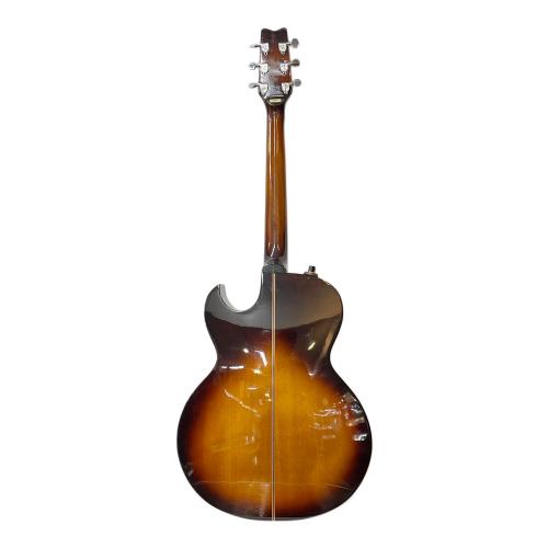 Washburn (ワッシュバーン) WOODSTOCK エレアコギター