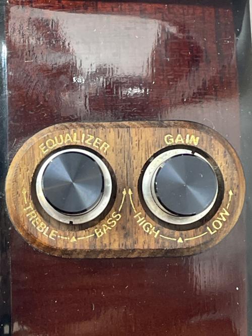 Washburn (ワッシュバーン) WOODSTOCK エレアコギター