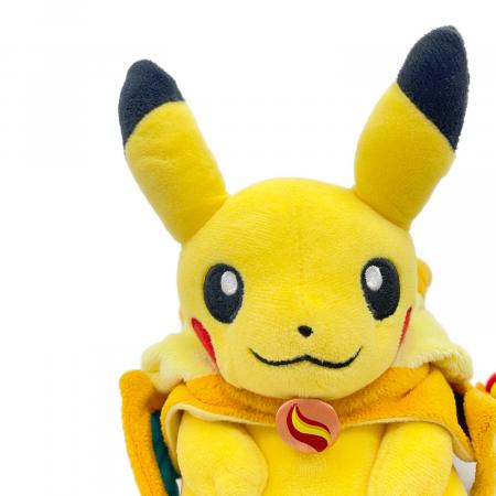 Pokemon Center (ポケモンセンター) ピカチュウ リザードンポンチョ