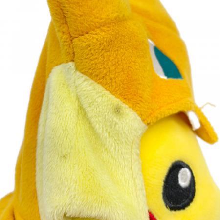 Pokemon Center (ポケモンセンター) ピカチュウ リザードンポンチョ