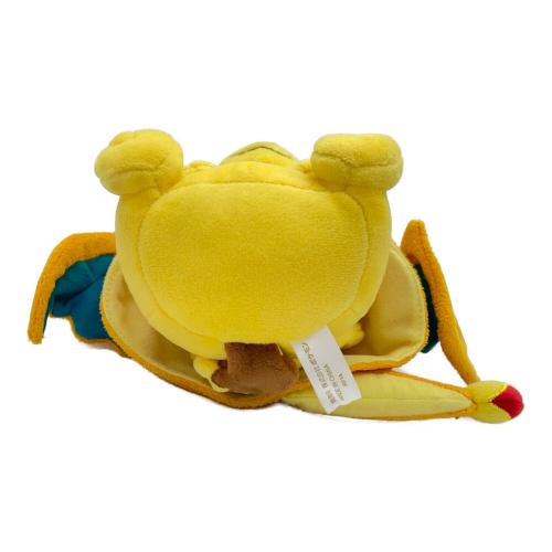 Pokemon Center (ポケモンセンター) ピカチュウ リザードンポンチョ ヌイグルミ メガトウキョーオープン記念品