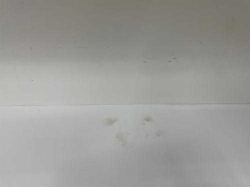 松田家具 (マツダカグ) 2枚扉レンジボード 287 横1670高さ2700 シルバー