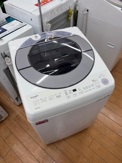 SHARP (シャープ) 全自動洗濯機 ES-GV8G-S 2023年製 8.0kg
