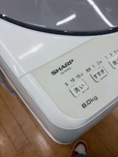 SHARP (シャープ) 全自動洗濯機 ES-GV8G-S 2023年製 8.0kg
