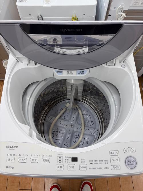SHARP (シャープ) 全自動洗濯機 ES-GV8G-S 2023年製 8.0kg