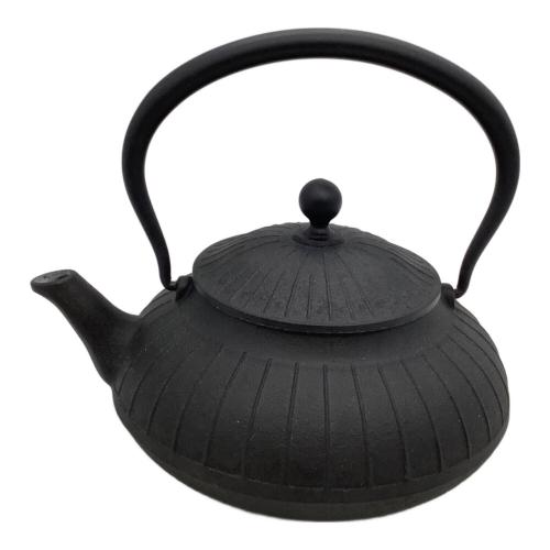 OIGEN (オイゲン) 鉄瓶 平八千草