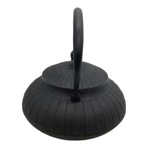 OIGEN (オイゲン) 鉄瓶 平八千草