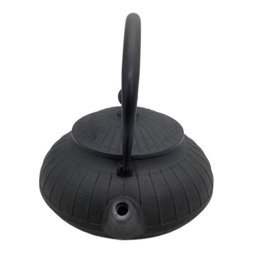 OIGEN (オイゲン) 鉄瓶 平八千草