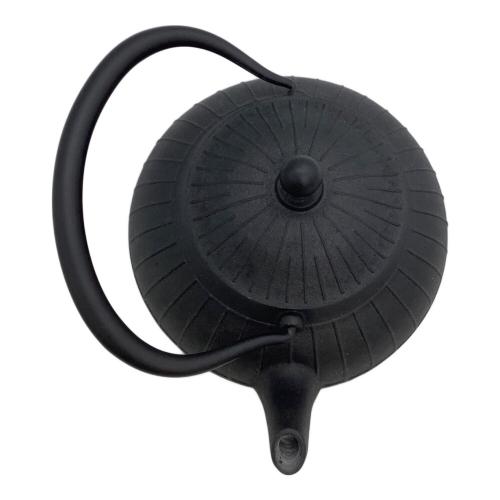 OIGEN (オイゲン) 鉄瓶 平八千草