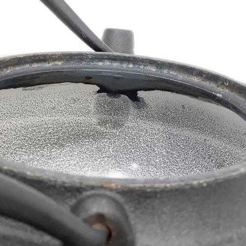 OIGEN (オイゲン) 鉄瓶 平八千草