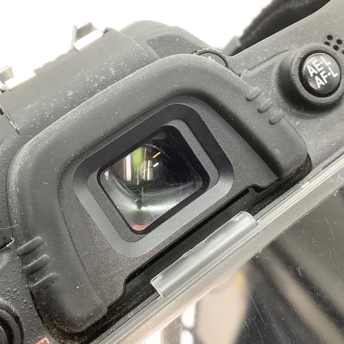 Nikon (ニコン) デジタル一眼レフカメラ D7000