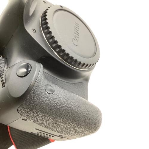 CANON (キャノン) デジタル一眼レフカメラ DS126271 2010年製