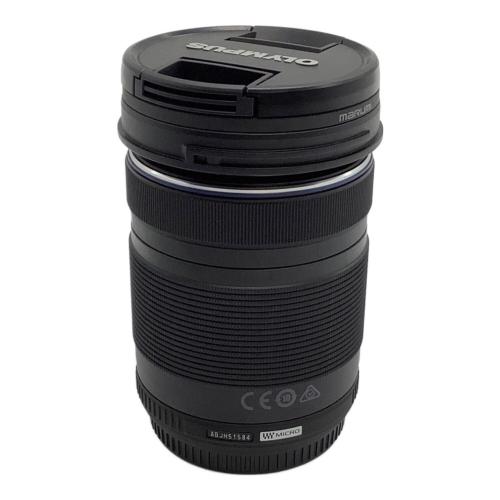 OLYMPUS (オリンパス) デジタル一眼レフカメラ OM-D E-M10 Mark Ⅳ