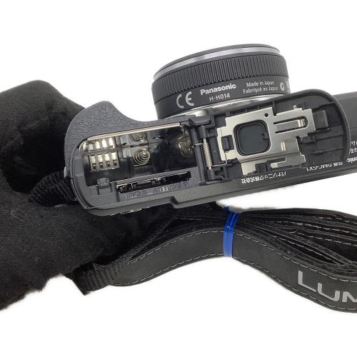 Panasonic (パナソニック) ミラーレス一眼カメラ DMC-GX1 LUMIX