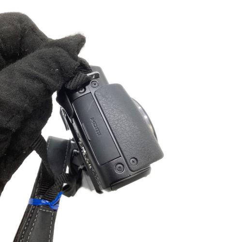 Panasonic (パナソニック) ミラーレス一眼カメラ DMC-GX1 LUMIX