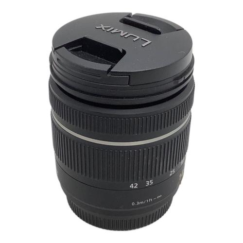 Panasonic (パナソニック) ミラーレス一眼カメラ DMC-GX1 LUMIX