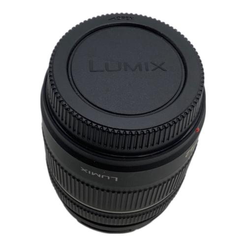 Panasonic (パナソニック) ミラーレス一眼カメラ DMC-GX1 LUMIX