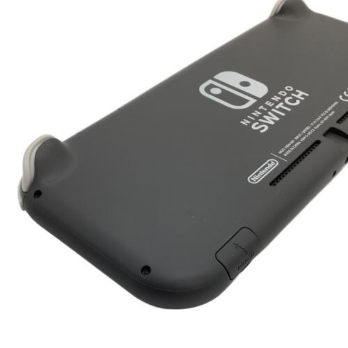 Nintendo (ニンテンドウ) Nintendo Switch Lite HDH-001