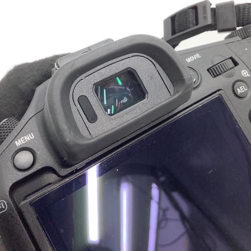 SONY (ソニー) デジタルスチルカメラ DSC-RX10 サイバーショット レンズ内キズ
