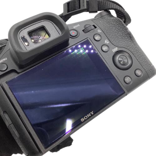 SONY (ソニー) デジタルスチルカメラ DSC-RX10 サイバーショット レンズ内キズ