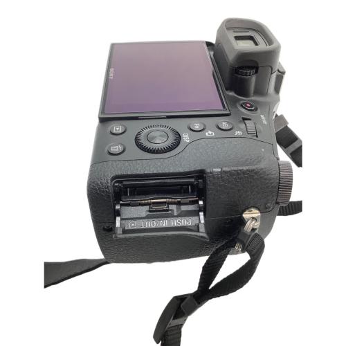 SONY (ソニー) デジタルスチルカメラ DSC-RX10 サイバーショット レンズ内キズ