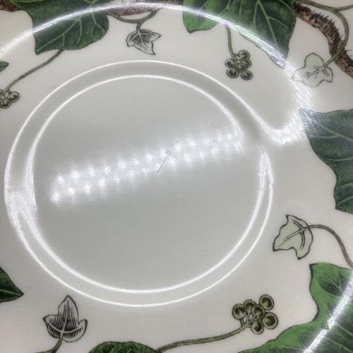 Wedgwood (ウェッジウッド) カップ&ソーサー ナポレオンアイビー