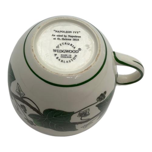 Wedgwood (ウェッジウッド) カップ&ソーサー ナポレオンアイビー